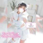 ヒメ日記 2025/10/28 22:48 投稿 えれな 素敵な女の子は好きですか？