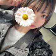 ヒメ日記 2026/02/10 12:48 投稿 えれな 素敵な女の子は好きですか？