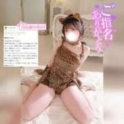 ヒメ日記 2026/03/01 04:33 投稿 えれな 素敵な女の子は好きですか？