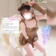 ヒメ日記 2026/04/09 11:18 投稿 えれな 素敵な女の子は好きですか？