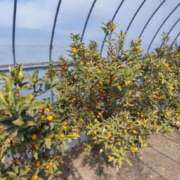 ヒメ日記 2025/02/24 07:00 投稿 水城　まこと エテルナ京都