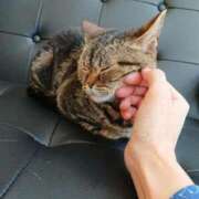 ヒメ日記 2025/03/01 07:20 投稿 水城　まこと エテルナ京都