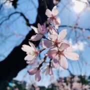 ヒメ日記 2025/04/05 18:35 投稿 水城　まこと エテルナ京都