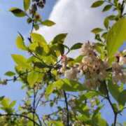 ヒメ日記 2025/04/26 10:57 投稿 水城　まこと エテルナ京都