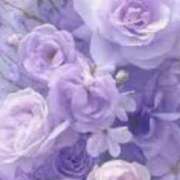 ヒメ日記 2025/05/12 06:43 投稿 水城　まこと エテルナ京都