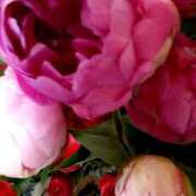 ヒメ日記 2025/07/05 08:47 投稿 水城　まこと エテルナ京都