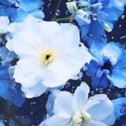 ヒメ日記 2025/07/15 07:43 投稿 水城　まこと エテルナ京都