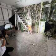 ヒメ日記 2025/07/24 05:53 投稿 水城　まこと エテルナ京都