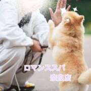 ヒメ日記 2025/06/26 14:14 投稿 柴崎　つきの 出張メンズエステ ロマンスSPA 奈良