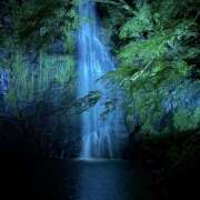 ヒメ日記 2025/08/29 11:43 投稿 柴崎　つきの 出張メンズエステ ロマンスSPA 奈良