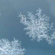 ヒメ日記 2025/02/24 08:31 投稿 後藤しのぶ ABC 岩手ソープ