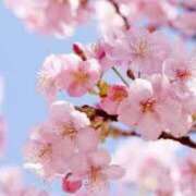 ヒメ日記 2025/03/28 08:01 投稿 後藤しのぶ ABC 岩手ソープ