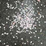 ヒメ日記 2025/05/11 08:46 投稿 後藤しのぶ ABC 岩手ソープ