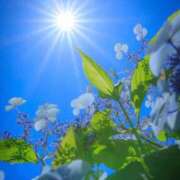 ヒメ日記 2025/06/07 22:31 投稿 後藤しのぶ ABC 岩手ソープ