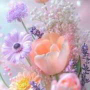 ヒメ日記 2025/06/14 21:31 投稿 後藤しのぶ ABC 岩手ソープ