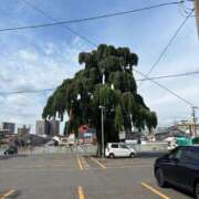 ヒメ日記 2025/07/27 09:01 投稿 後藤しのぶ ABC 岩手ソープ