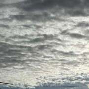 ヒメ日記 2025/09/14 07:01 投稿 後藤しのぶ ABC 岩手ソープ