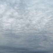 ヒメ日記 2025/09/20 07:01 投稿 後藤しのぶ ABC 岩手ソープ