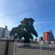 ヒメ日記 2025/09/28 08:01 投稿 後藤しのぶ ABC 岩手ソープ