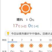 ヒメ日記 2026/03/29 07:01 投稿 後藤しのぶ ABC 岩手ソープ