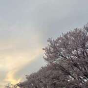 ヒメ日記 2026/04/11 21:01 投稿 後藤しのぶ ABC 岩手ソープ