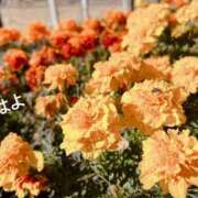 ヒメ日記 2025/01/08 11:42 投稿 さやか CLASSY.東京・錦糸町店