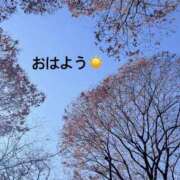 ヒメ日記 2025/01/09 08:32 投稿 さやか CLASSY.東京・錦糸町店