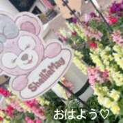 ヒメ日記 2025/01/14 08:02 投稿 さやか CLASSY.東京・錦糸町店