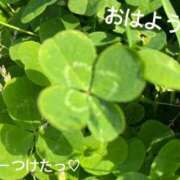 ヒメ日記 2025/01/16 07:32 投稿 さやか CLASSY.東京・錦糸町店