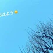 ヒメ日記 2025/01/17 08:18 投稿 さやか CLASSY.東京・錦糸町店