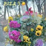 ヒメ日記 2025/01/18 08:32 投稿 さやか CLASSY.東京・錦糸町店