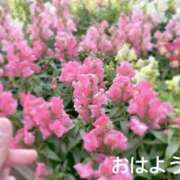 ヒメ日記 2025/01/23 10:42 投稿 さやか CLASSY.東京・錦糸町店