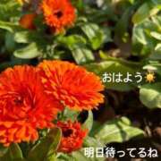 ヒメ日記 2025/01/25 08:32 投稿 さやか CLASSY.東京・錦糸町店