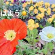 ヒメ日記 2025/02/05 08:02 投稿 さやか CLASSY.東京・錦糸町店