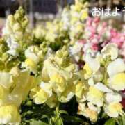 ヒメ日記 2025/02/09 09:22 投稿 さやか CLASSY.東京・錦糸町店