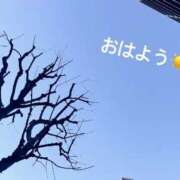 ヒメ日記 2025/02/11 07:43 投稿 さやか CLASSY.東京・錦糸町店