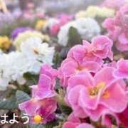 ヒメ日記 2025/02/21 07:52 投稿 さやか CLASSY.東京・錦糸町店