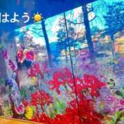 ヒメ日記 2025/02/23 07:22 投稿 さやか CLASSY.東京・錦糸町店