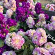 ヒメ日記 2025/02/28 07:52 投稿 さやか CLASSY.東京・錦糸町店