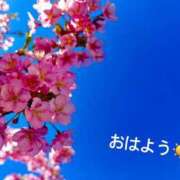 ヒメ日記 2025/03/13 07:22 投稿 さやか CLASSY.東京・錦糸町店