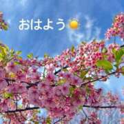 ヒメ日記 2025/03/20 08:02 投稿 さやか CLASSY.東京・錦糸町店