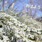 ヒメ日記 2025/03/24 07:22 投稿 さやか CLASSY.東京・錦糸町店