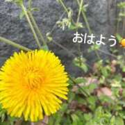 ヒメ日記 2025/03/28 07:32 投稿 さやか CLASSY.東京・錦糸町店