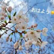 ヒメ日記 2025/03/30 07:18 投稿 さやか CLASSY.東京・錦糸町店