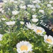 ヒメ日記 2025/04/01 09:03 投稿 さやか CLASSY.東京・錦糸町店