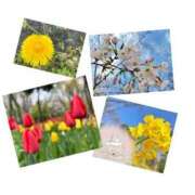 ヒメ日記 2025/04/01 10:22 投稿 さやか CLASSY.東京・錦糸町店