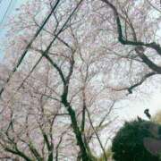 ヒメ日記 2025/04/06 15:42 投稿 さやか CLASSY.東京・錦糸町店