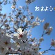 ヒメ日記 2025/04/07 07:52 投稿 さやか CLASSY.東京・錦糸町店