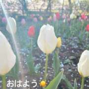 ヒメ日記 2025/04/10 07:32 投稿 さやか CLASSY.東京・錦糸町店