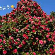 ヒメ日記 2025/04/13 07:32 投稿 さやか CLASSY.東京・錦糸町店